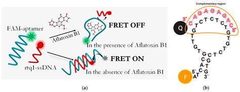 A Fluorescence Resonance Energy Transfer Aptasensor for Aflatoxin B1 ...