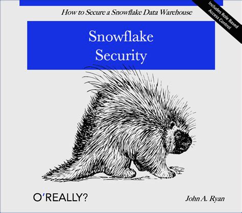 Snowflake Rbac and Access Control 的图像结果