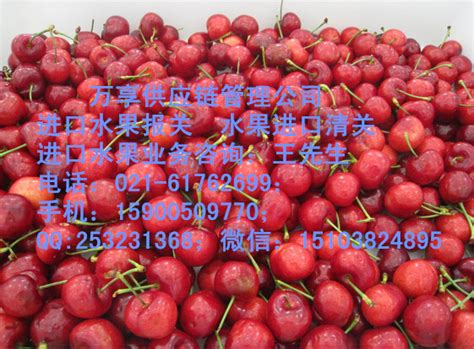温州进口水果清关服务公司_温州进口水果清关_上海虎桥国际物流有限公司