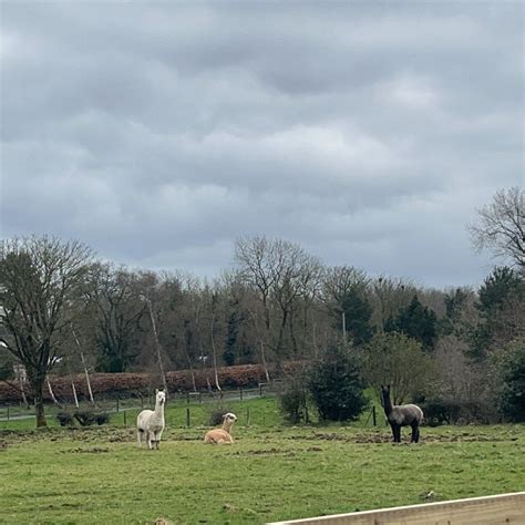 BALLYBURREN OUTDOOR ESCAPES (2026) All You Need to Know BEFORE You Go ...