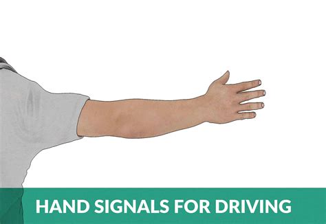 Hand Signals for Driving: The 2 Basic Driving Hand Signals Explained