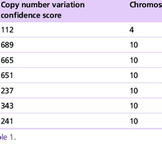 Image result for Level of Chromosomal Copy Number Variation