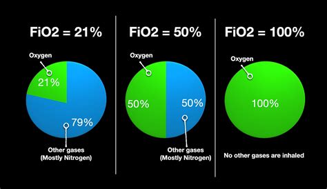 Image result for FiO2 100