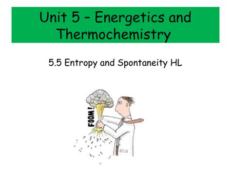 Entropy Experiments at Home Example 的图像结果