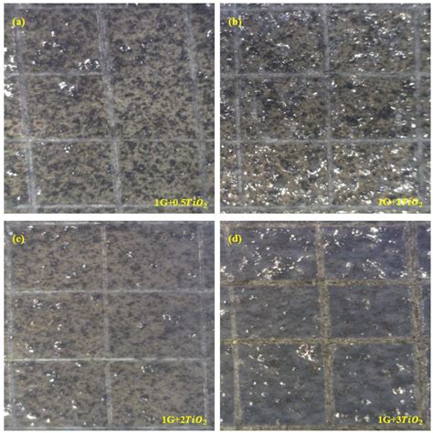 Anticorrosion, Thermal Degradation, and Hydrophobic Performances of ...