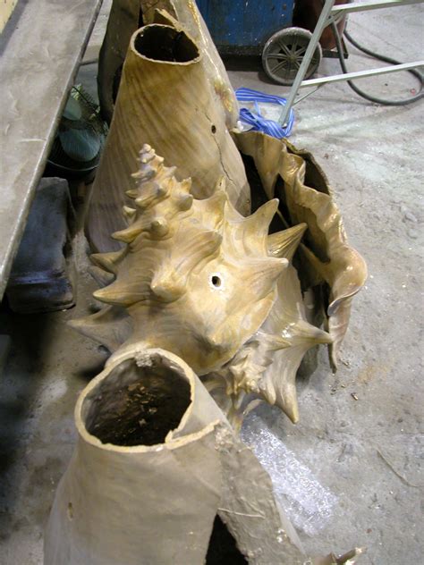 Conch Shell Removal 的图像结果