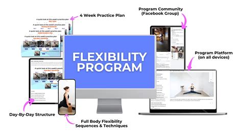 Flexibility Program 的图像结果