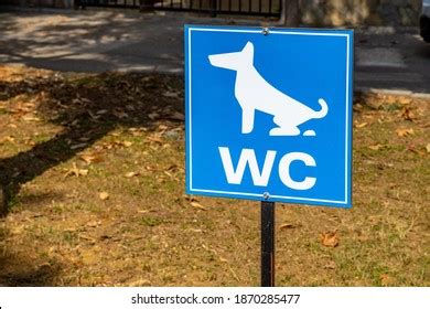 Image result for File Format Icon Set