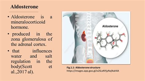 Abnormalities of Aldosterone Hormone.pdf