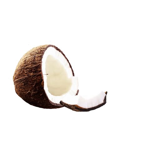 Coconut Hybridization Program 的图像结果