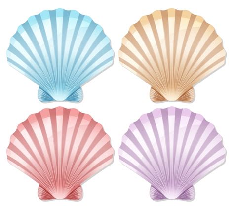 Shell clip art Images - Free Download on Freepik
