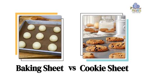 Cookie Sheet Vs Baking Sheet – Different Types Of Cookie Sheets – HXYIMD