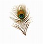 Image result for feather