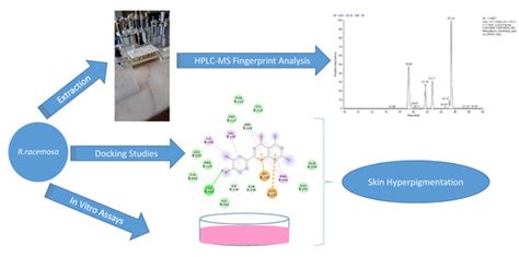 Identification of Chemical Profiles and Biological Properties of ...