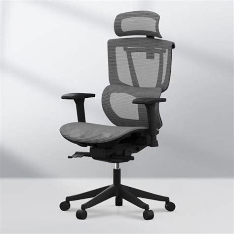 FLEXISPOT C7 Premium Ergonomic Office Chair - Adjustable 3D Armrests ...