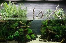 amano aquascape the passing of aquascaping legend takashi amano amano aquascape the passing of aquascaping legend takashi amano