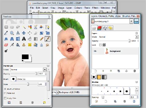 GIMP Design Software 的图像结果