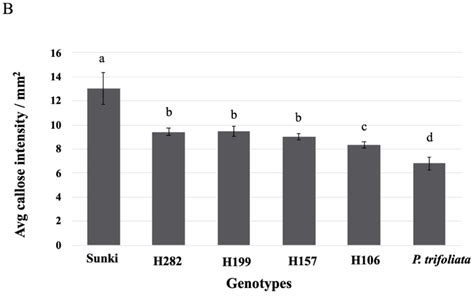 Temporal Analysis of Candidatus Liberibacter asiaticus in Citrandarin ...