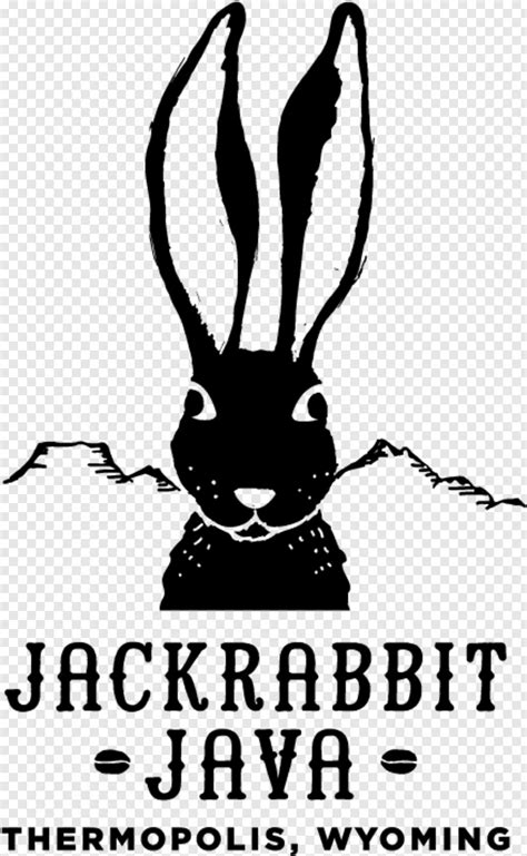 Image result for Java App Icon Transparent