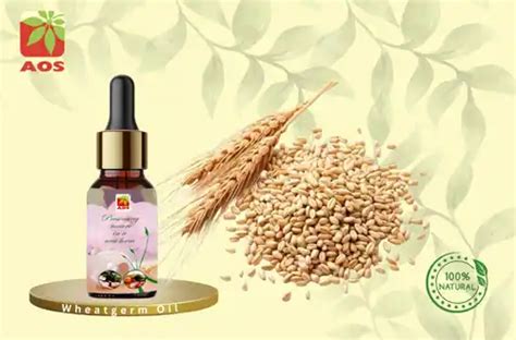WHEAT GERM OIL BP Grade Manufacturer - AOS Products