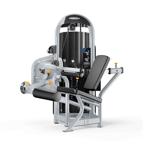 Leg Curl Machine Exercise 的图像结果