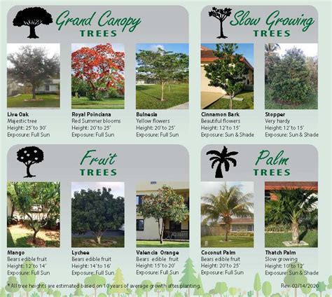 Residential Landscape Beautification Program | City of Sunrise, FL