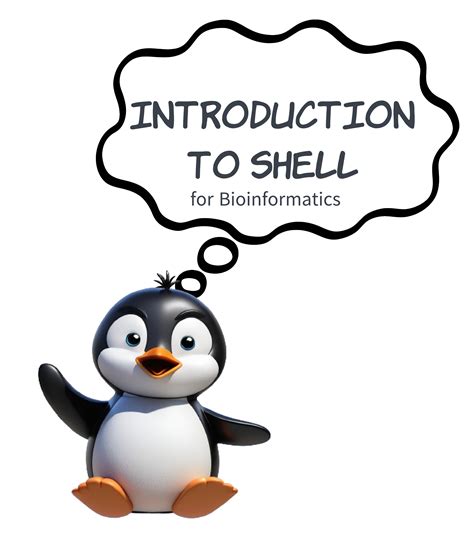 Image result for Shell Computer Program