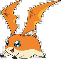 Patamon | Character Profile Wikia | Fandom