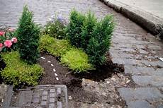Miniature Garden Design Ideas Potholes Cracks Clever Landscaping Ideas by Miniature Garden Design Ideas For Potholes And Cracks Miniature Garden Design Ideas Potholes Cracks Clever Landscaping Ideas
