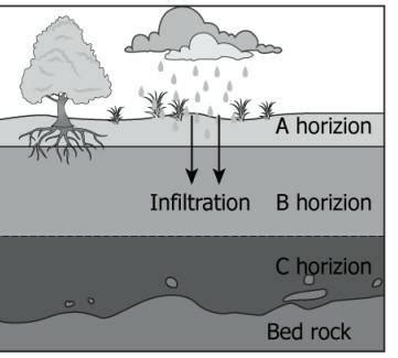 The given image represents a soil profile. Which layer of soil from the ...