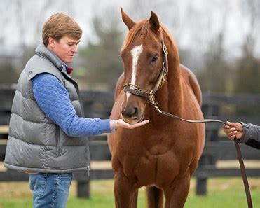 "Undrafted" horse owned by undrafted QB pulls huge upset
