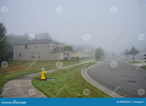 Morning Fog in florida stock photo. Image of home, haunted - 84825250