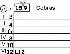 Libero Tracker Tutorial 的图像结果