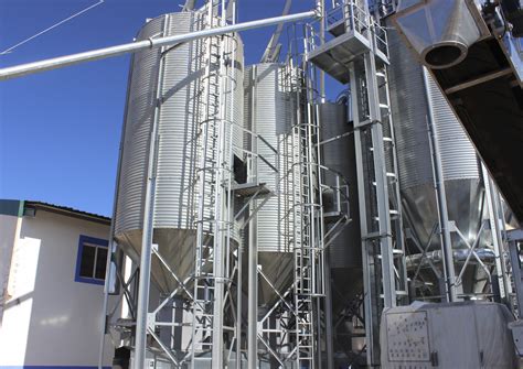 Almendras - El Bisabuelo Eladio