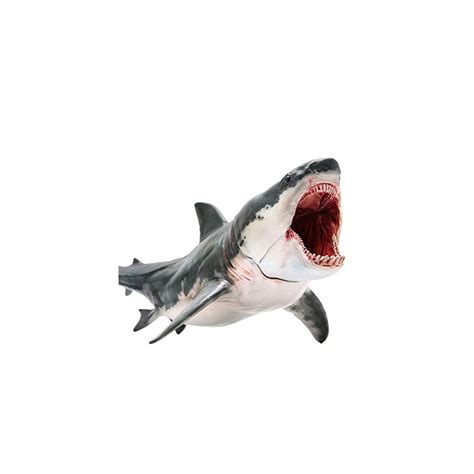 PNSO Megalodon Barton Dinosaur Model Toy Collectable India | Ubuy