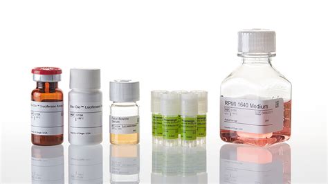 T Cell Activation Bioassay (NFAT/IL-2)