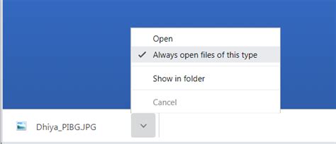 Image result for How to Open Downloaded Files