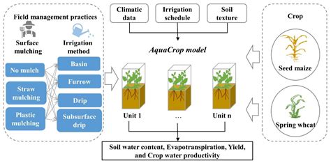 Water-Saving Potential of Different Agricultural Management Practices ...