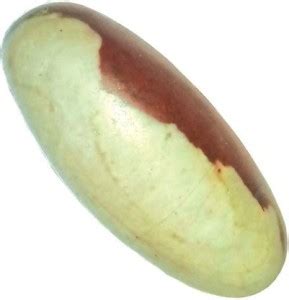 Senroar Narmadeshwar Shivling Decorative 4 cm Decorative Showpiece - 4 ...