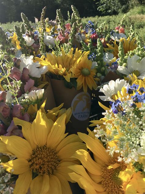 Small Acres 的图像结果