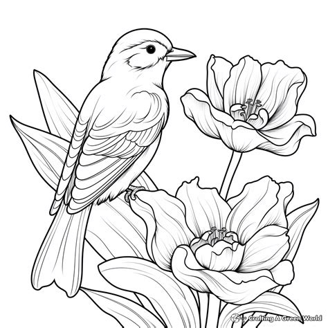Coloring Pages Of Flowers And Birds