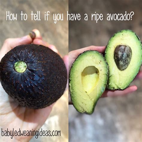 How to tell if you have a ripe avocado? ? - Baby Led Weaning Ideas