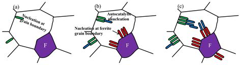 Experimental and Modelling Research on the Effect of Prior Ferrite on ...