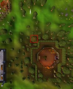 Image result for Old Magic Tree OSRS