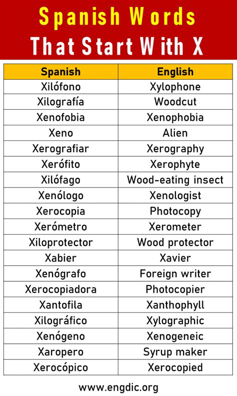 50 Spanish Words That Start With X - EngDic