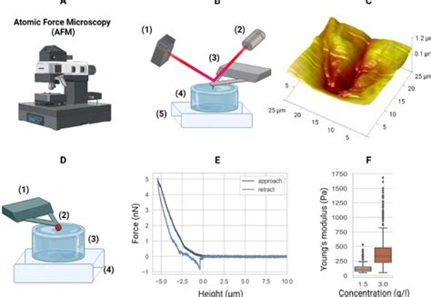 Image result for Atomic force microscopy AFM Principles