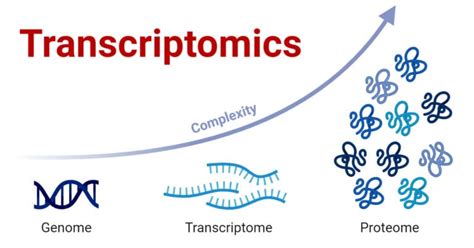 Image result for Transcriptomics Databases