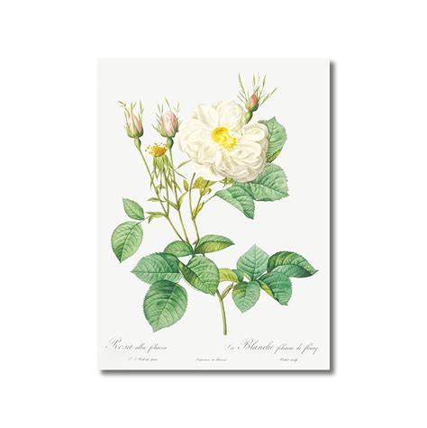 Tamatina Wall Posters | Living room Home Décor Restaurant Bedroom ...