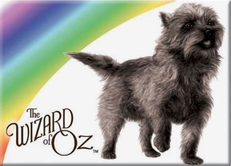 Wizard Of Oz Dog