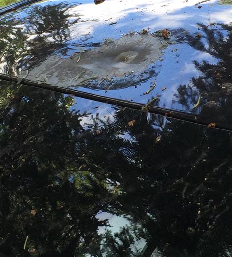 Friend's car got hit by lightning. : r/mildlyinteresting